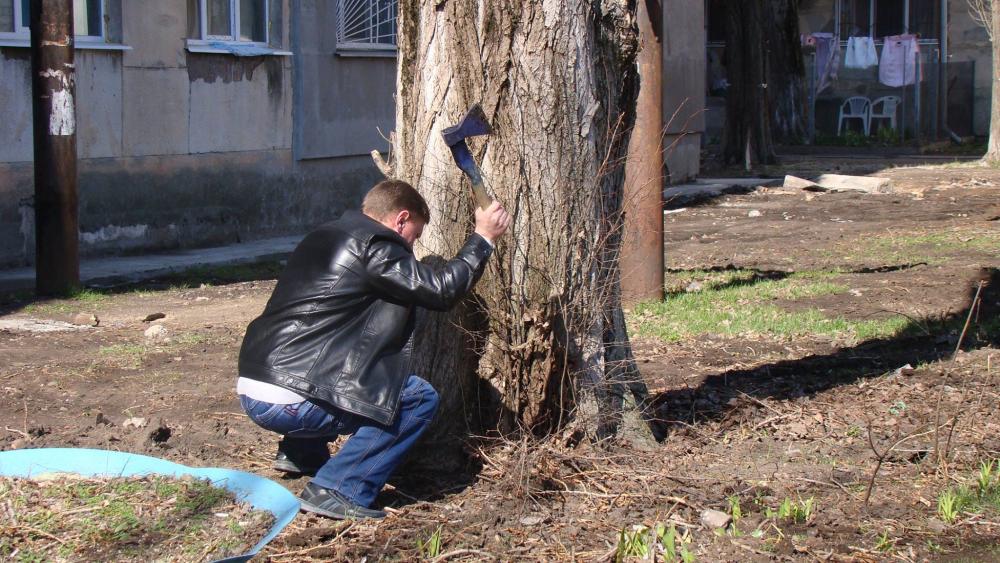 Жители микрорайона поддержали инициативу общегородского субботника