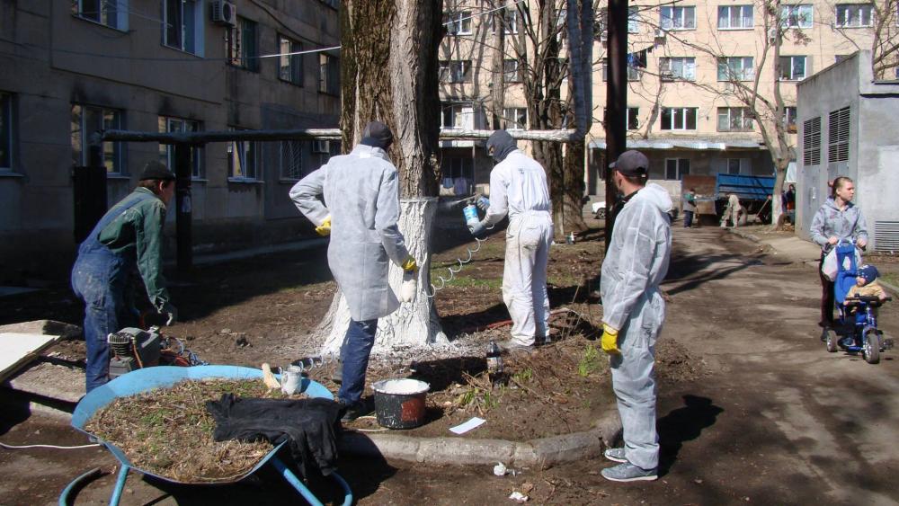 Жители микрорайона поддержали инициативу общегородского субботника